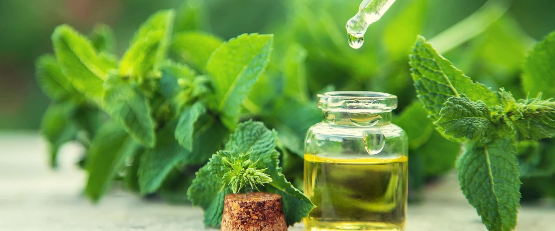Essential Oils for Hair Loss: Natural Remedies for Seniors